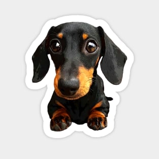 Dachshund Puppy Eyes Cute Dog Sticker